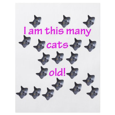 19 Cat Heads Old by oddballbirthdays3