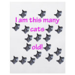 19 Cat Heads Old Full Color Flyer
