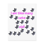 19 Cat Heads Old