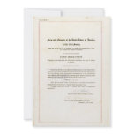 19th Amendment to the United States Constitution invitations