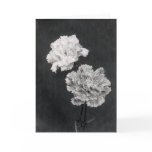 19th C. Carnations Card