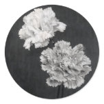 19th C. Carnations stickers