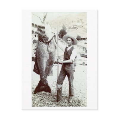 19th C. Fisherman and Goliath Grouper by historicimage