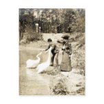 19th C. Swans in Paris Postcard