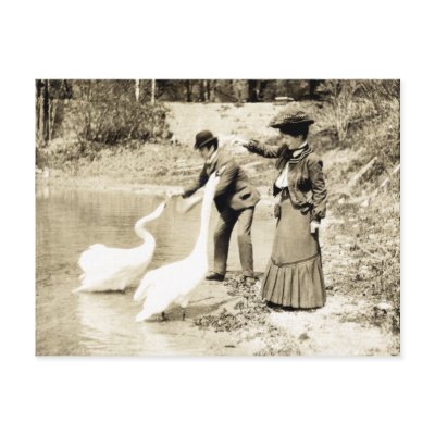 19th C. Swans in Paris Postcards by historicimage