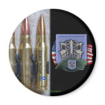 19th special forces group  flash crest iraq vets m refrigerator magnets