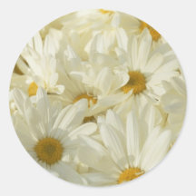 1 1/2 Inch Round Daisy Stickers