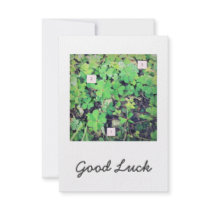 1-2-3 lucky clovers custom invitations
