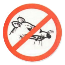 1.5" No Rat Sticker
