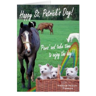1. Adorable Westie Puppies, Scenic Ireland Pasture by 4westies