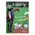 1. Adorable Westie Puppies, Scenic Ireland Pasture cards