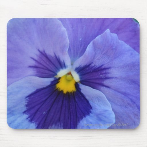 1 Blue Beauty Pansy Mouse Pad