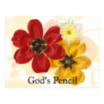 1 God's Pencil Post Card