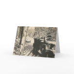 1 in 2 bears at car cards