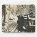 1 in 2 bears at car mouse mats