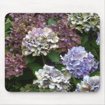 1 Purple Lavender Blue Hydrangeas Mouse Pads
