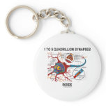 1 To 5 Quadrillion Synapses Inside (Neuron)