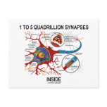 1 To 5 Quadrillion Synapses Inside (Neuron)