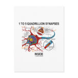 1 To 5 Quadrillion Synapses Inside (Neuron)