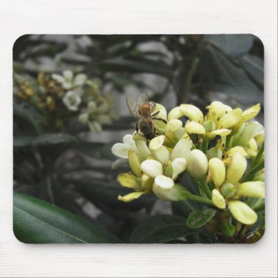 1BeeCloseUp 3 Mousepad by LivingNature