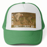 1k. Buy Me Some Peanuts... Mesh Hat