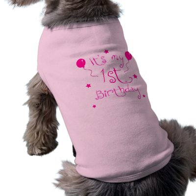 1st Birthday Dog Dog Clothes by totallypainted