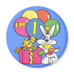 1st Birthday Rabbit magnets