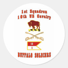 1st SQUADRON  10th U.S. CAVALRY Stickers