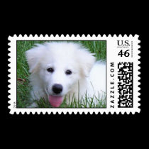 2005-9-11 049a postage