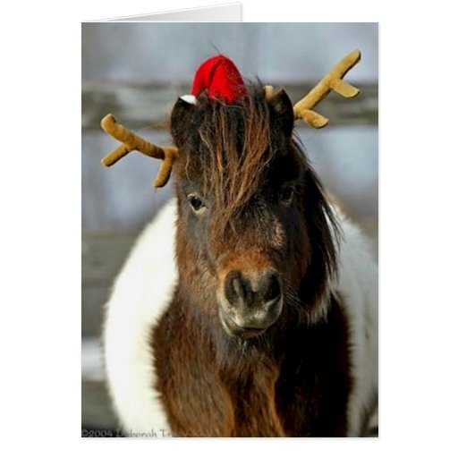 2005 OMRH Christmas Card Photo First Place Winner
