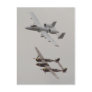 2006 Heritage Flight (View #1) Post Cards