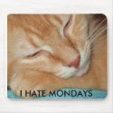 2007_0214camerathewithplaying0051, I HATE MONDAYS mousepads