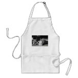 2007 January Photo of the Month Aprons