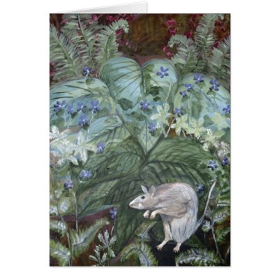 2007_mouse_fern cards by achesley