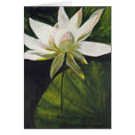 2007_white_lotus card