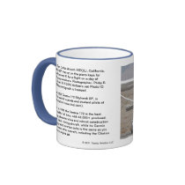 2008 Cessna 172 Skyhawk SP Photo Coffee Mug #1