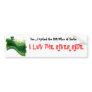 2008 River Ride Bumper Sticker
