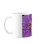 20090614_114 MUG