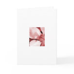 20090626_116 cards
