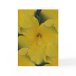20090626_12 CARD