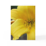 20090626_25 CARD