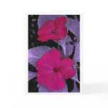 20090626_28 GREETING CARDS