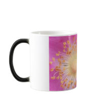 2009-1004 COFFEE MUG