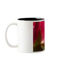 2009-1007 COFFEE MUGS