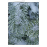 2009_Maine_Winter_2 Greeting Cards