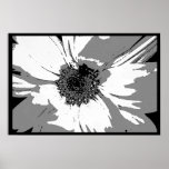 20100630_1802BWDaisy Print