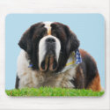 2010-07-14AL 234z_edited-1 mousepads
