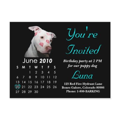 2010 Birthday Party Invitation, Announcement by beverlytazangel