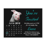 2010 Birthday Party Invitation, Announcement postcards