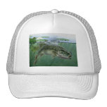 2010 National Best of Show by A. Hunter Trucker Hats